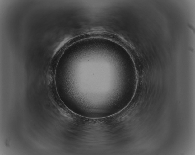 X0000093121400200709261319