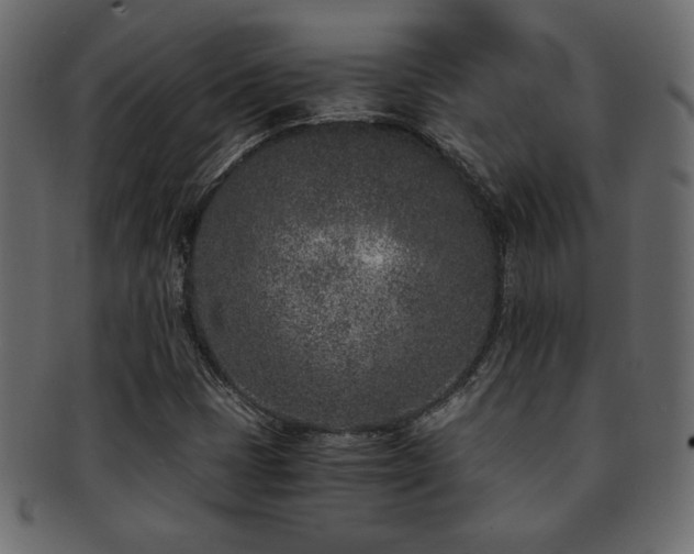 X0000093121401200709261319