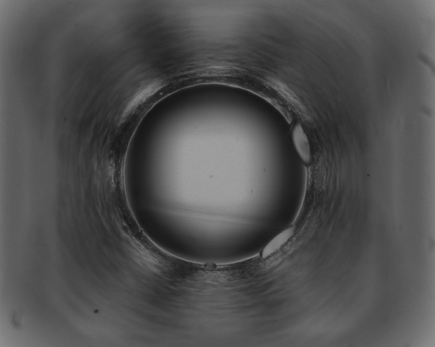 X0000093121402200709261319
