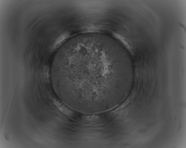 X0000093121403200709261319