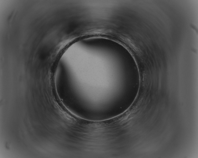 X0000093121404200709261319