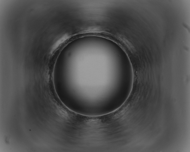 X0000093121406200709261319