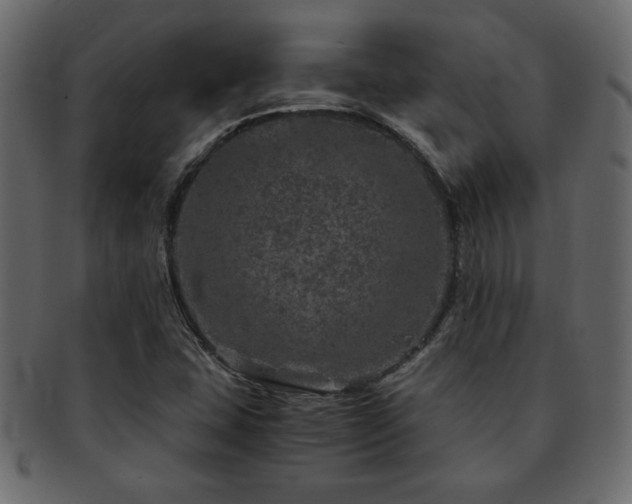 X0000093121407200709261319
