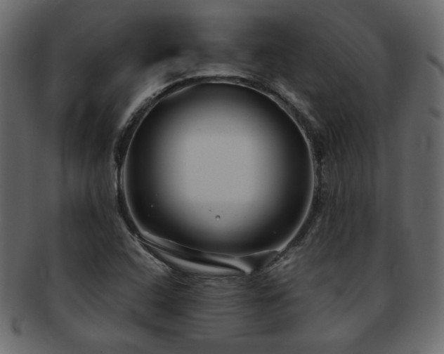 X0000093121408200709261319