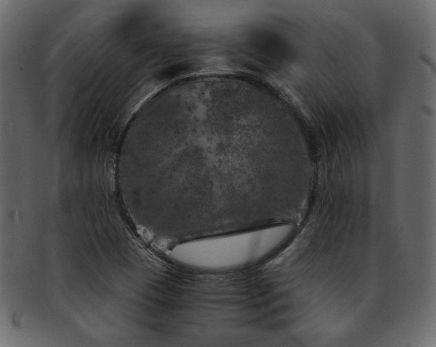 X0000093121409200709261319