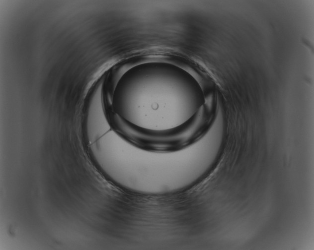 X0000093121410200709261319