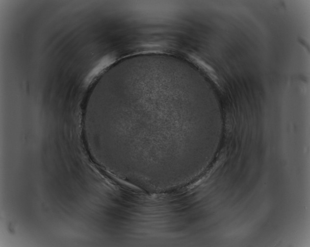 X0000093121411200709261319