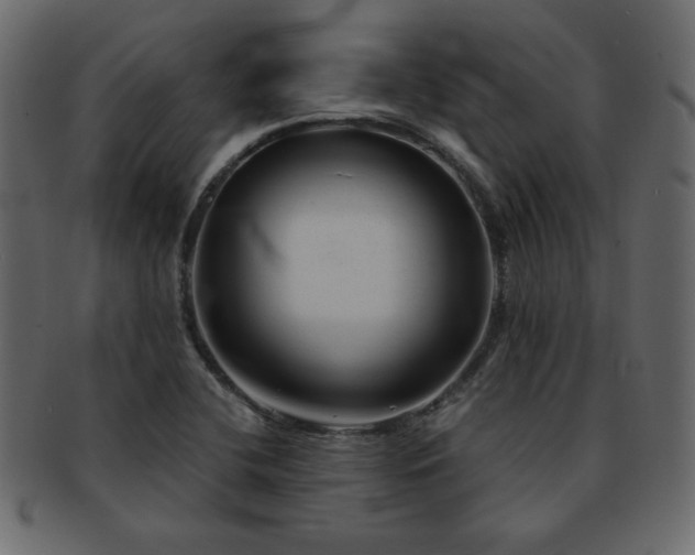 X0000093121412200709261319
