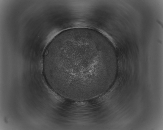 X0000093121415200709261319