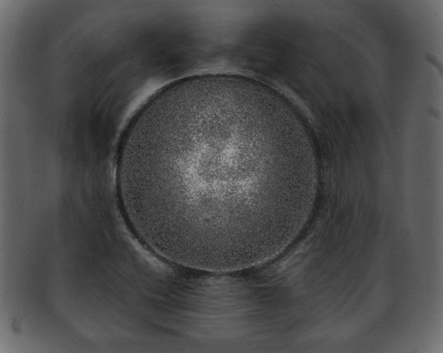 X0000093121416200709261319