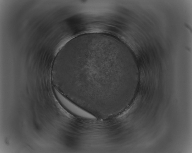 X0000093121417200709261319