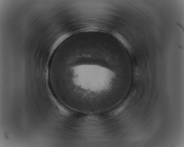 X0000093121418200709261319