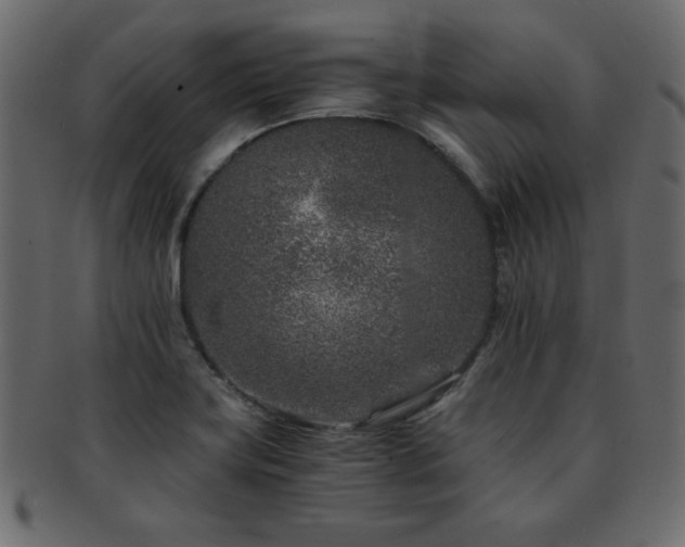 X0000093121419200709261319