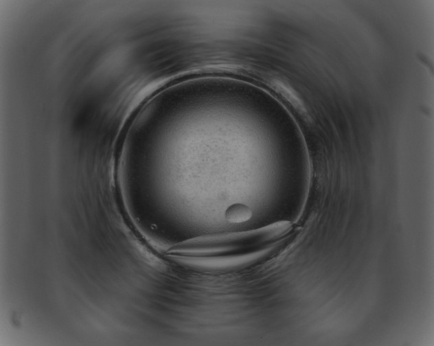 X0000093121420200709261319