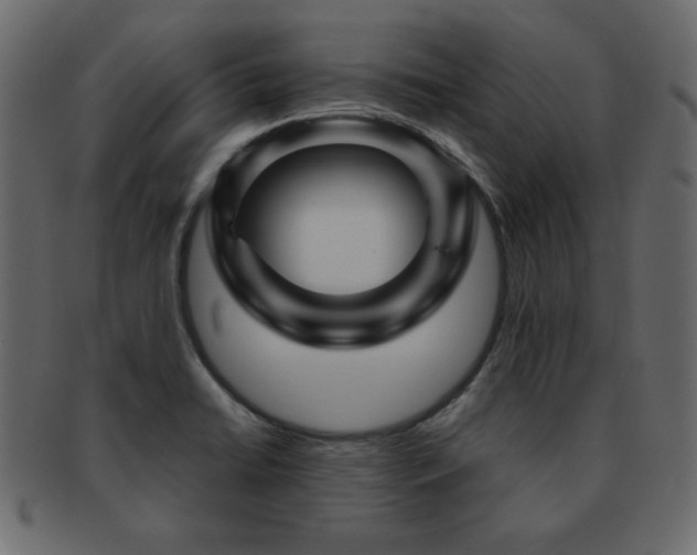 X0000093121422200709261319