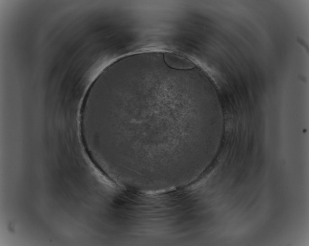 X0000093121423200709261319