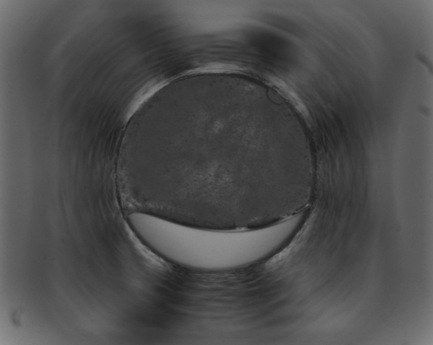 X0000093121425200709261319