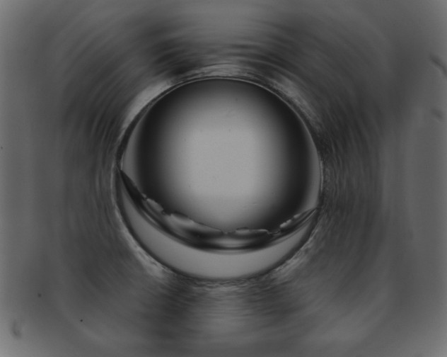 X0000093121426200709261319
