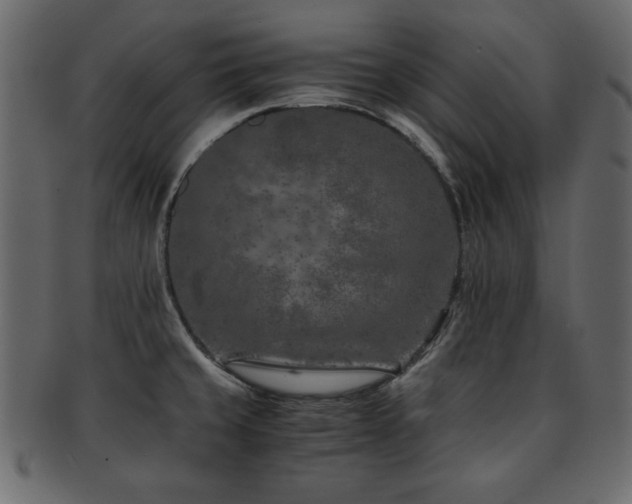 X0000093121429200709261319