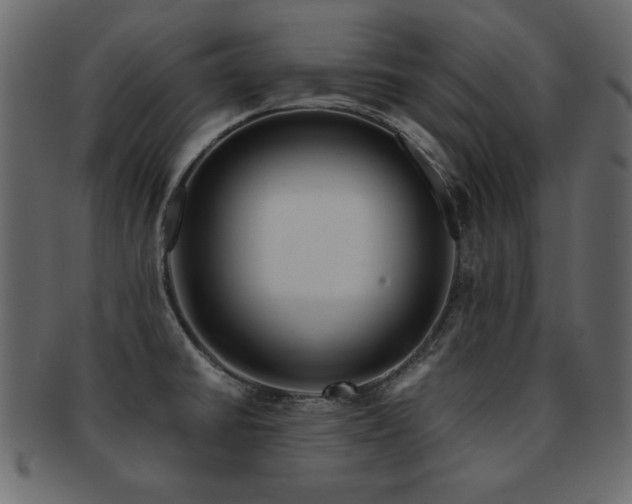 X0000093121430200709261319