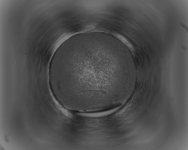 X0000093121431200709261319