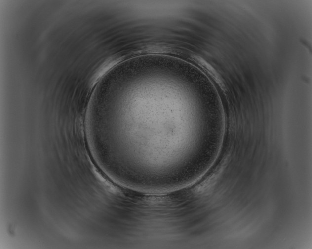 X0000093121433200709261319