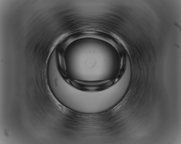 X0000093121434200709261319