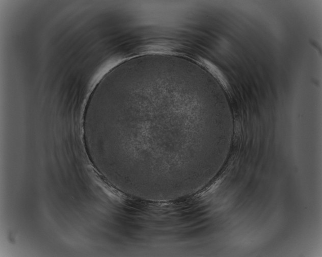 X0000093121435200709261319