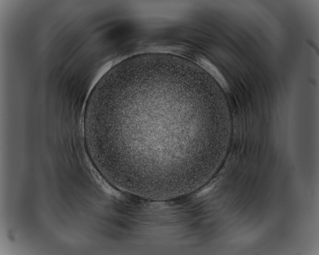 X0000093121436200709261319