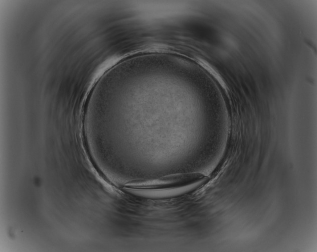 X0000093121437200709261319