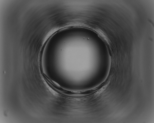 X0000093121438200709261319
