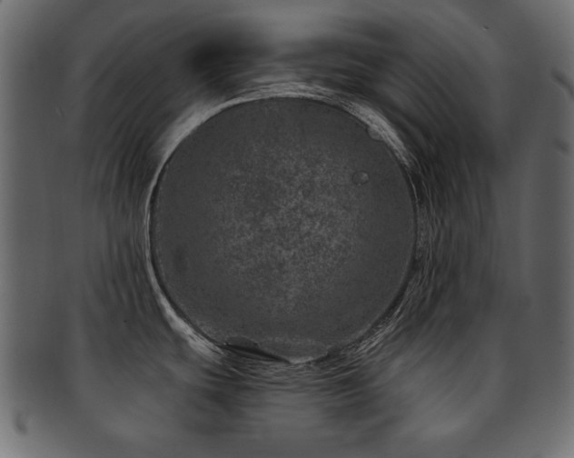 X0000093121439200709261319