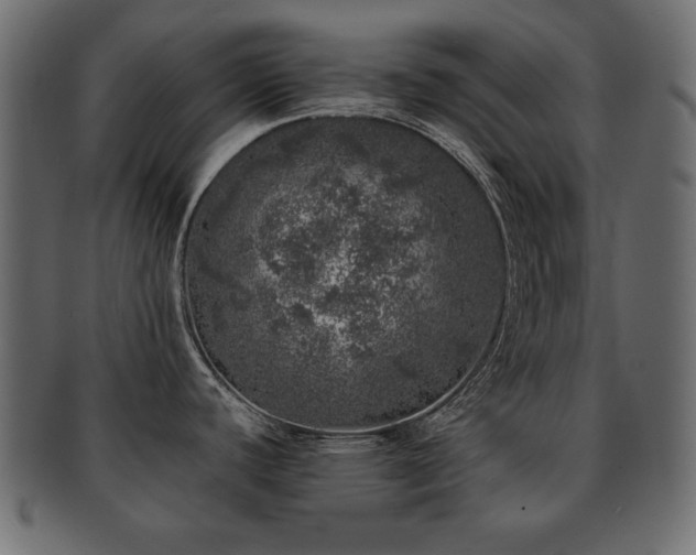 X0000093121440200709261319