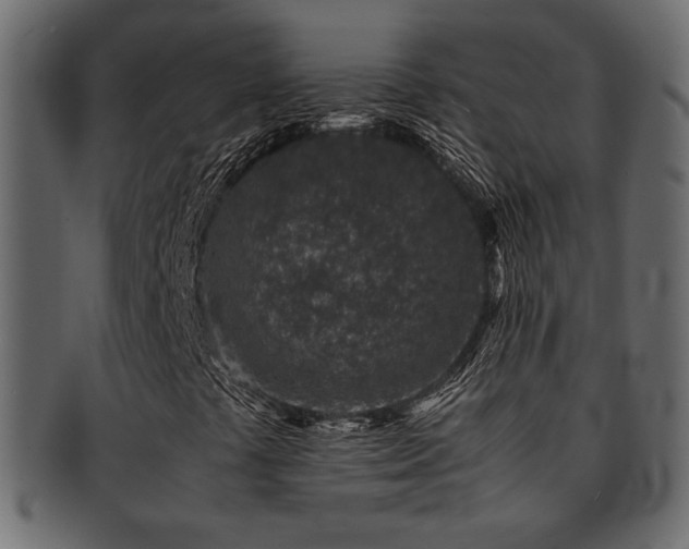 X0000093121441200709261318