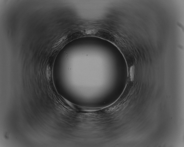 X0000093121443200709261318