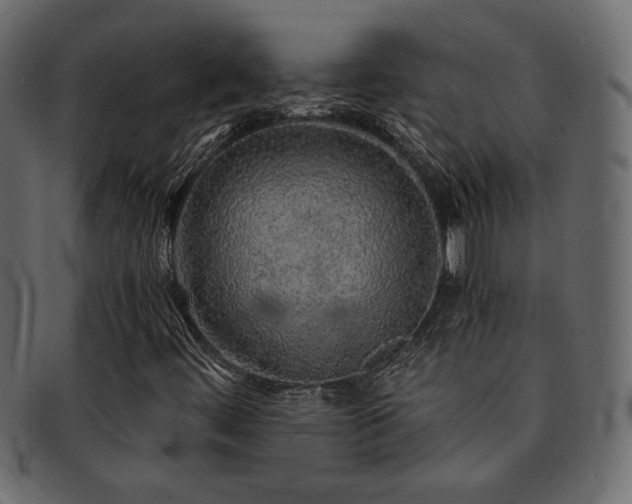 X0000093121444200709261318