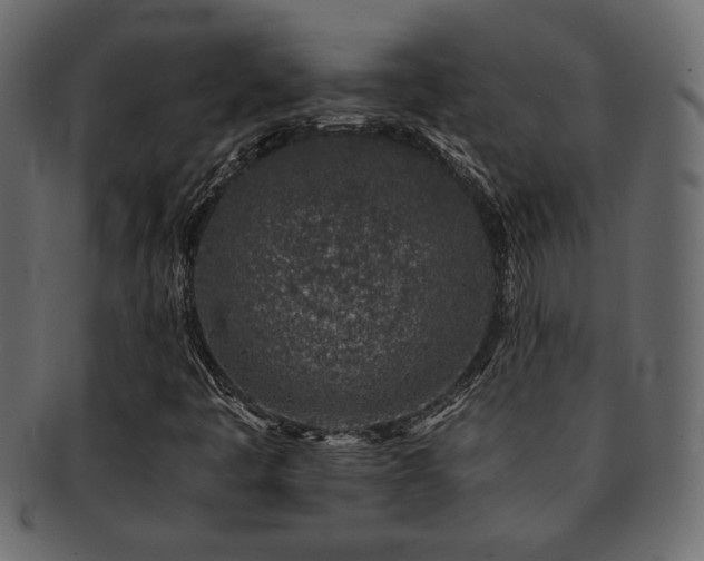 X0000093121445200709261318