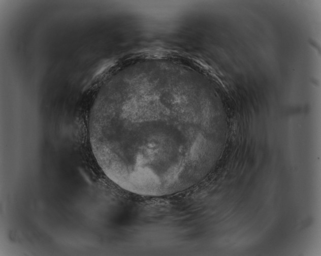 X0000093121446200709261318