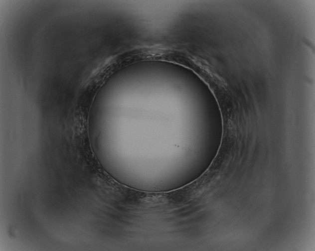 X0000093121447200709261318