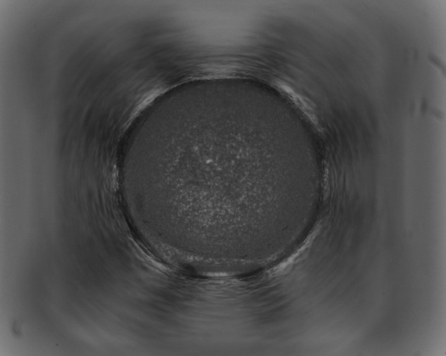 X0000093121449200709261318