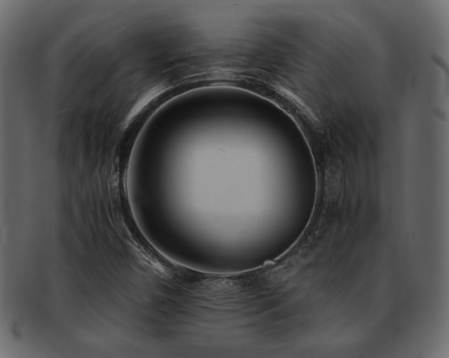 X0000093121450200709261318