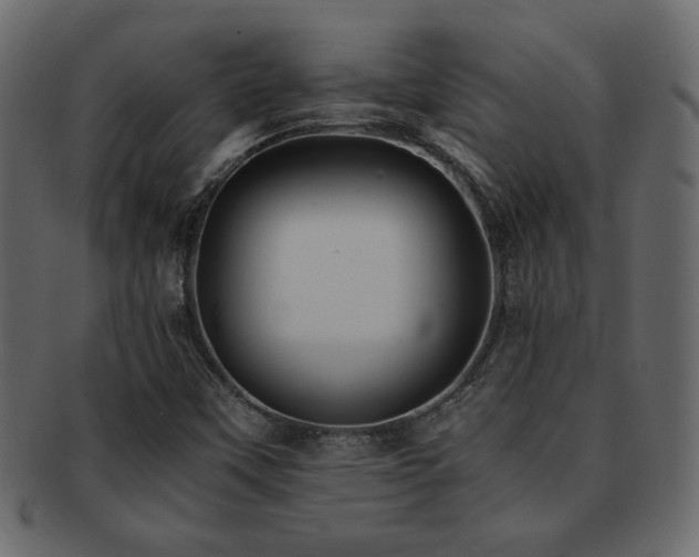X0000093121451200709261318