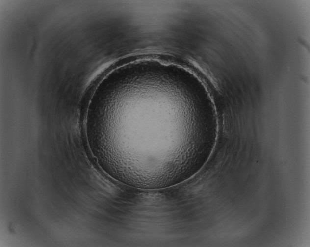X0000093121452200709261318