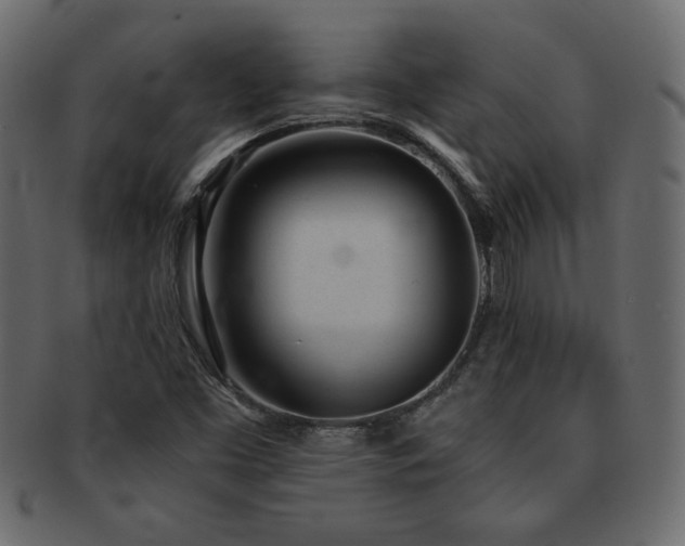 X0000093121453200709261318