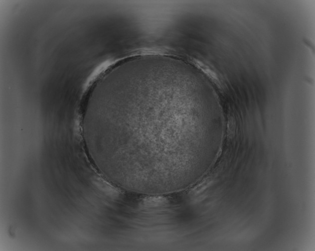 X0000093121454200709261318