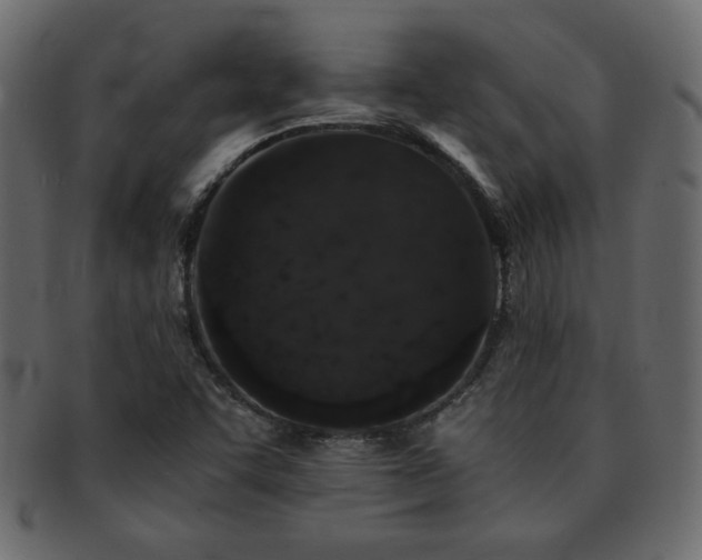 X0000093121455200709261318