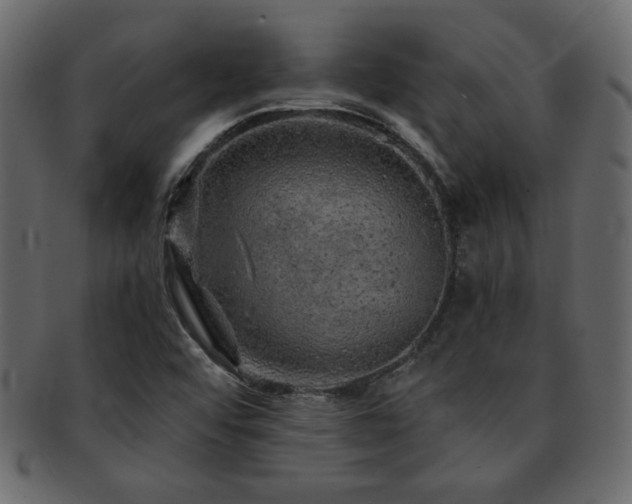 X0000093121456200709261318