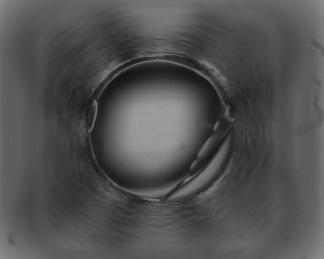 X0000093121457200709261318