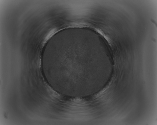 X0000093121459200709261318