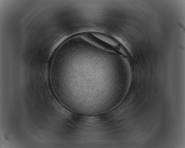 X0000093121460200709261318